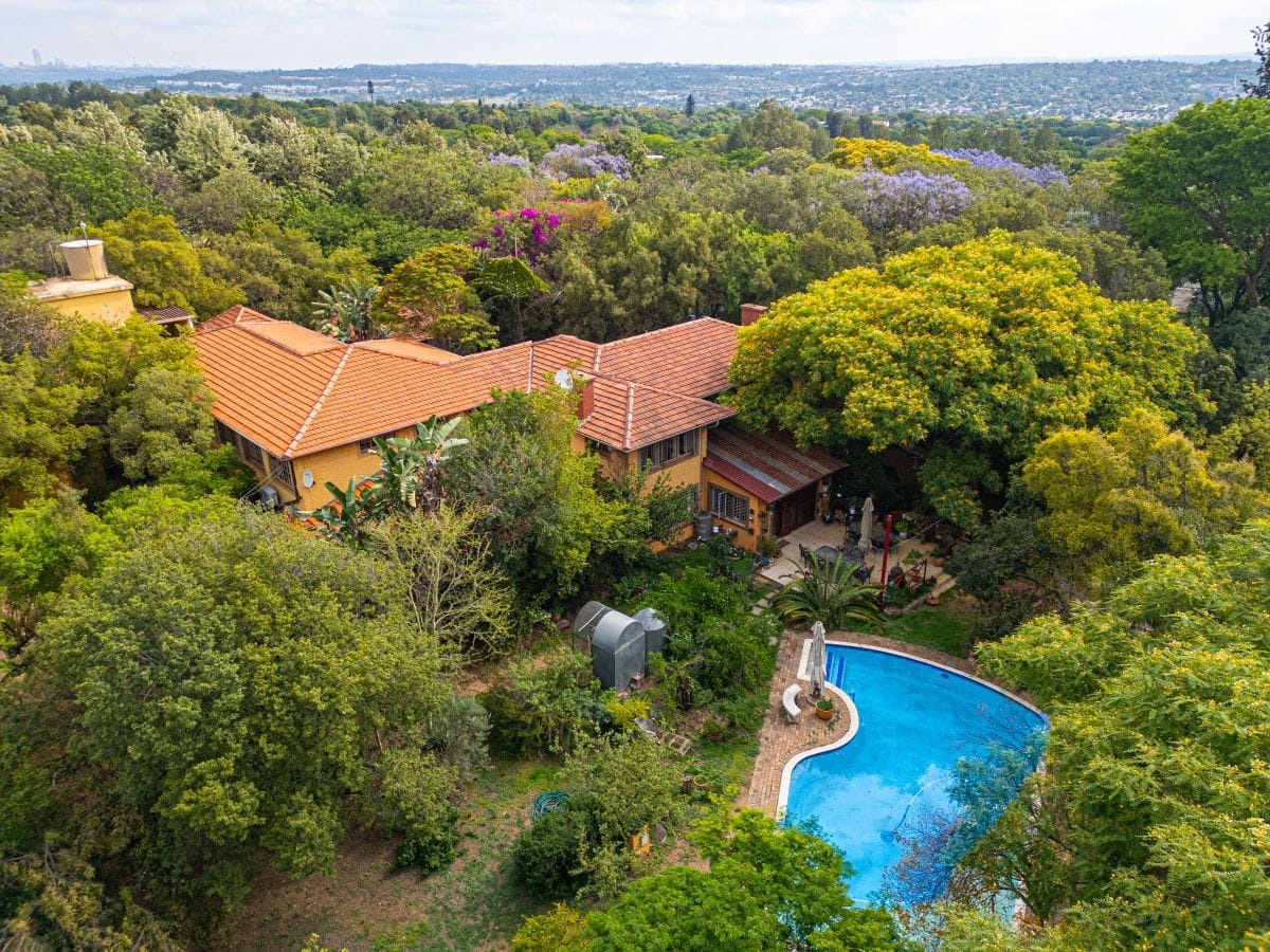 Featured image for “”